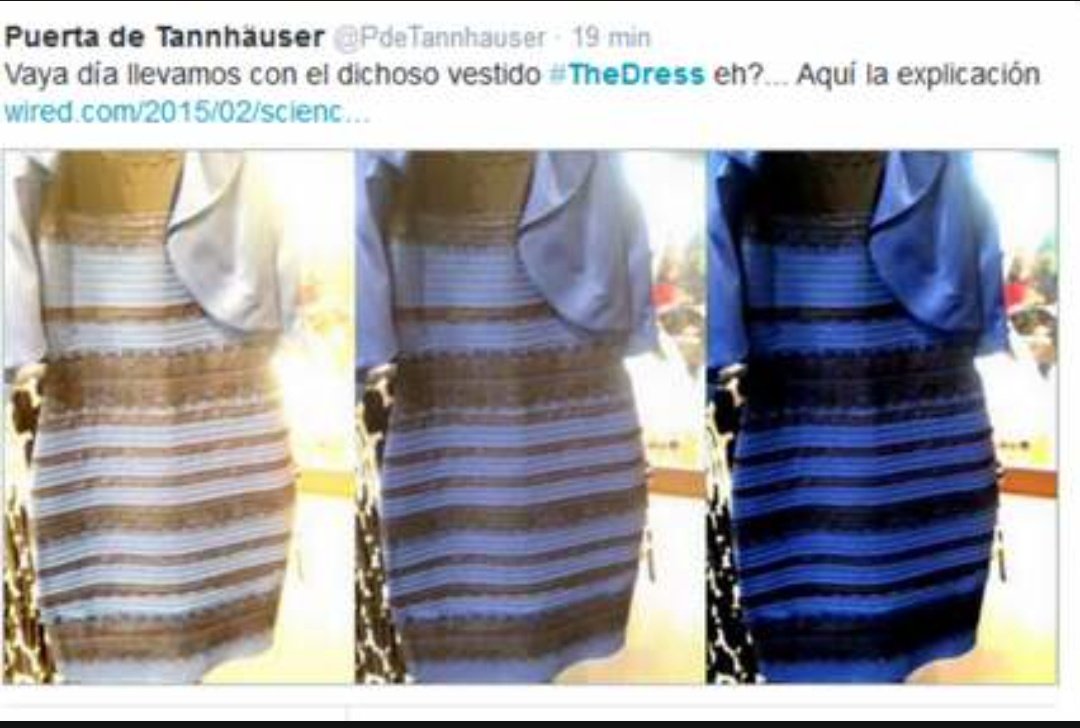 Moon Night Flores tweet media