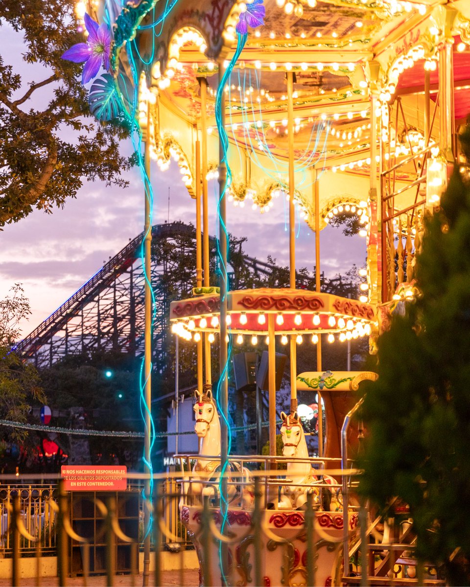 SixFlagsMexico's tweet image. ¿Qué crees que sea? Porque te aseguramos que no tienes ni I D E A 🤭