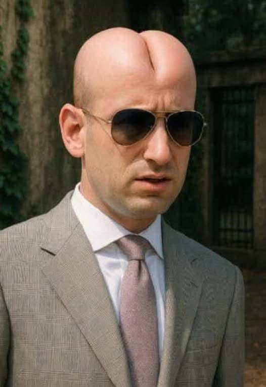 <a href="/OccupyDemocrats/">Occupy Democrats</a>