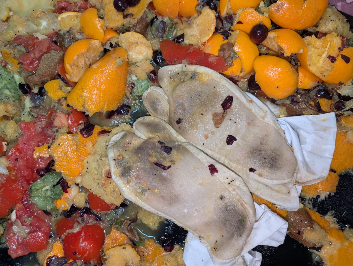 Cathy Crues tweet media