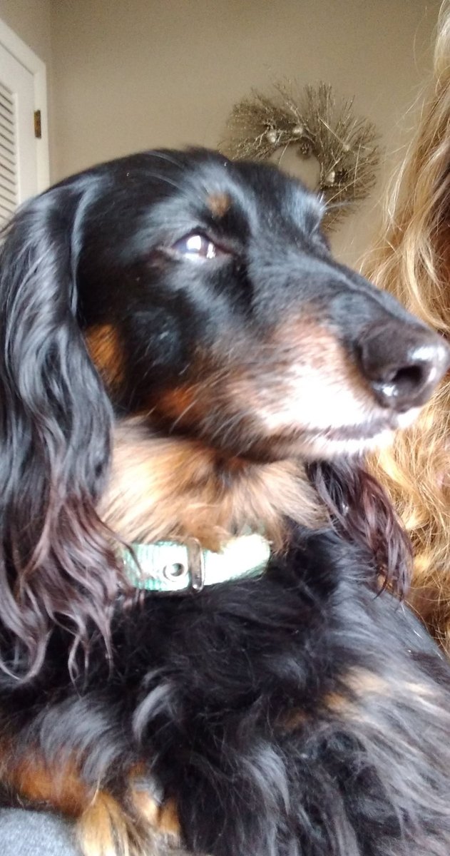 Office of Indiana State Chemist tweet media