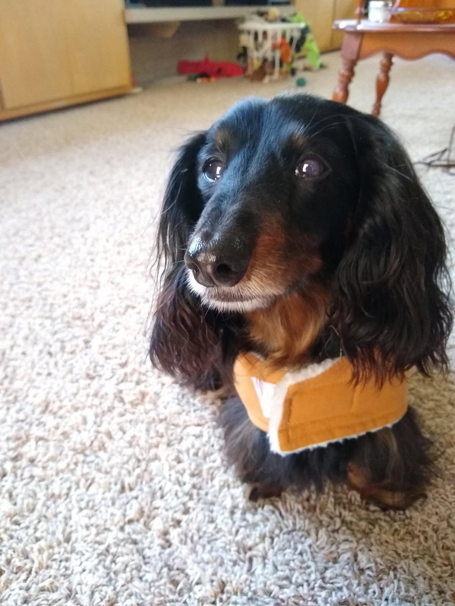 Office of Indiana State Chemist tweet media