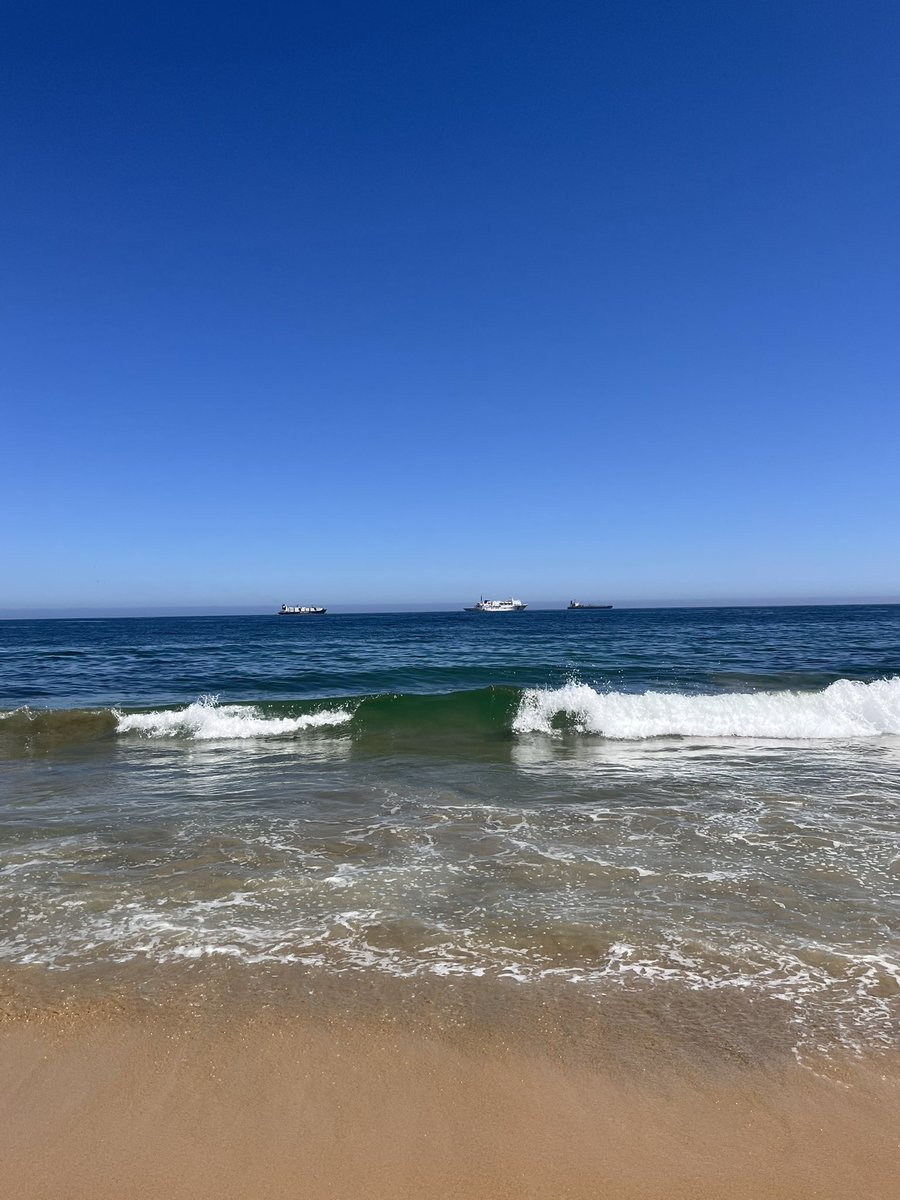 فرانسيسكا اسبيرانزا tweet media