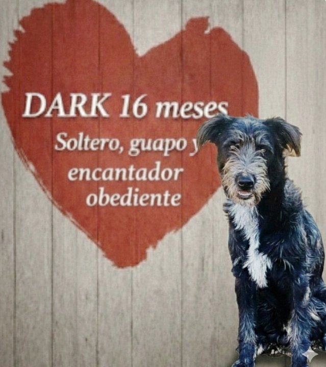 El Refugio de Brown tweet media