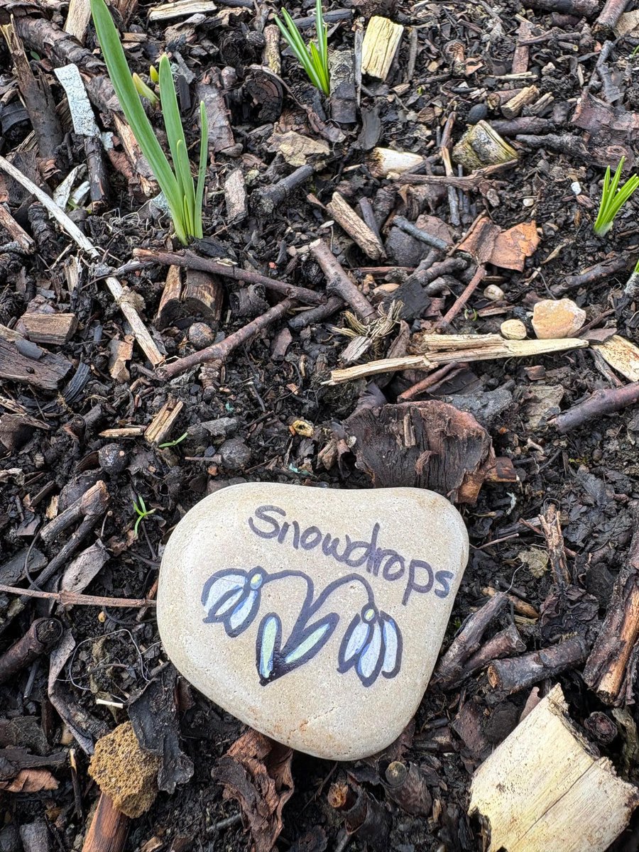 Old Mill Primary tweet media