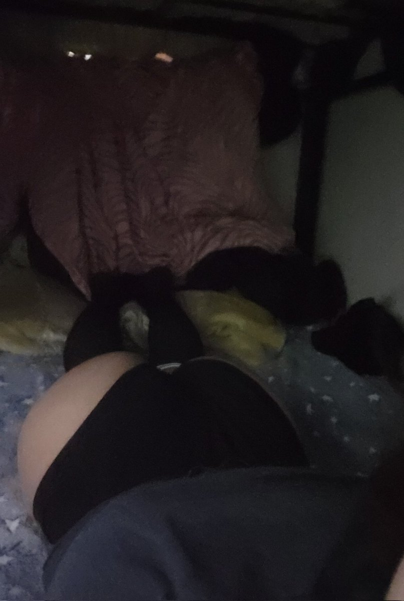 Avena2.0 tweet media