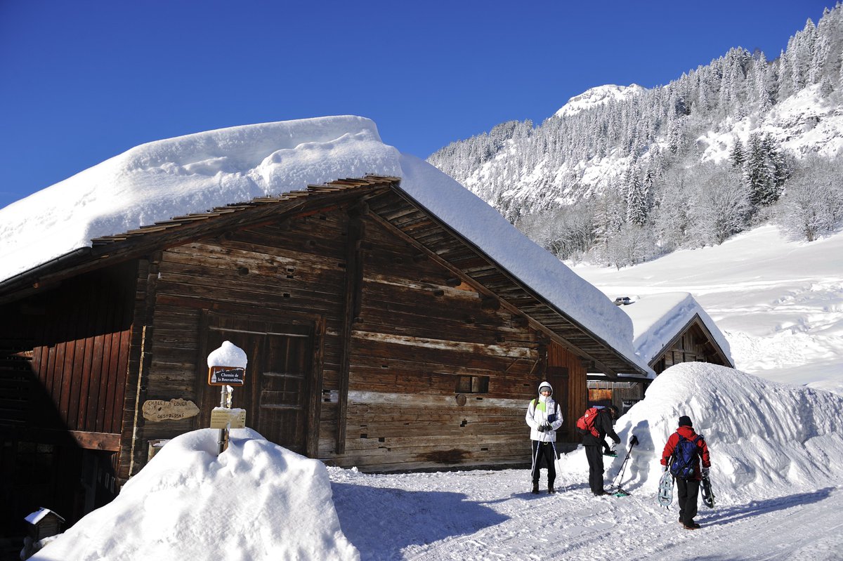 Alpes. "Du jamais vu" : températures folles avec plus de 21°C après des chutes de neige astronomiques
➡️ l.actu.fr/MzE9