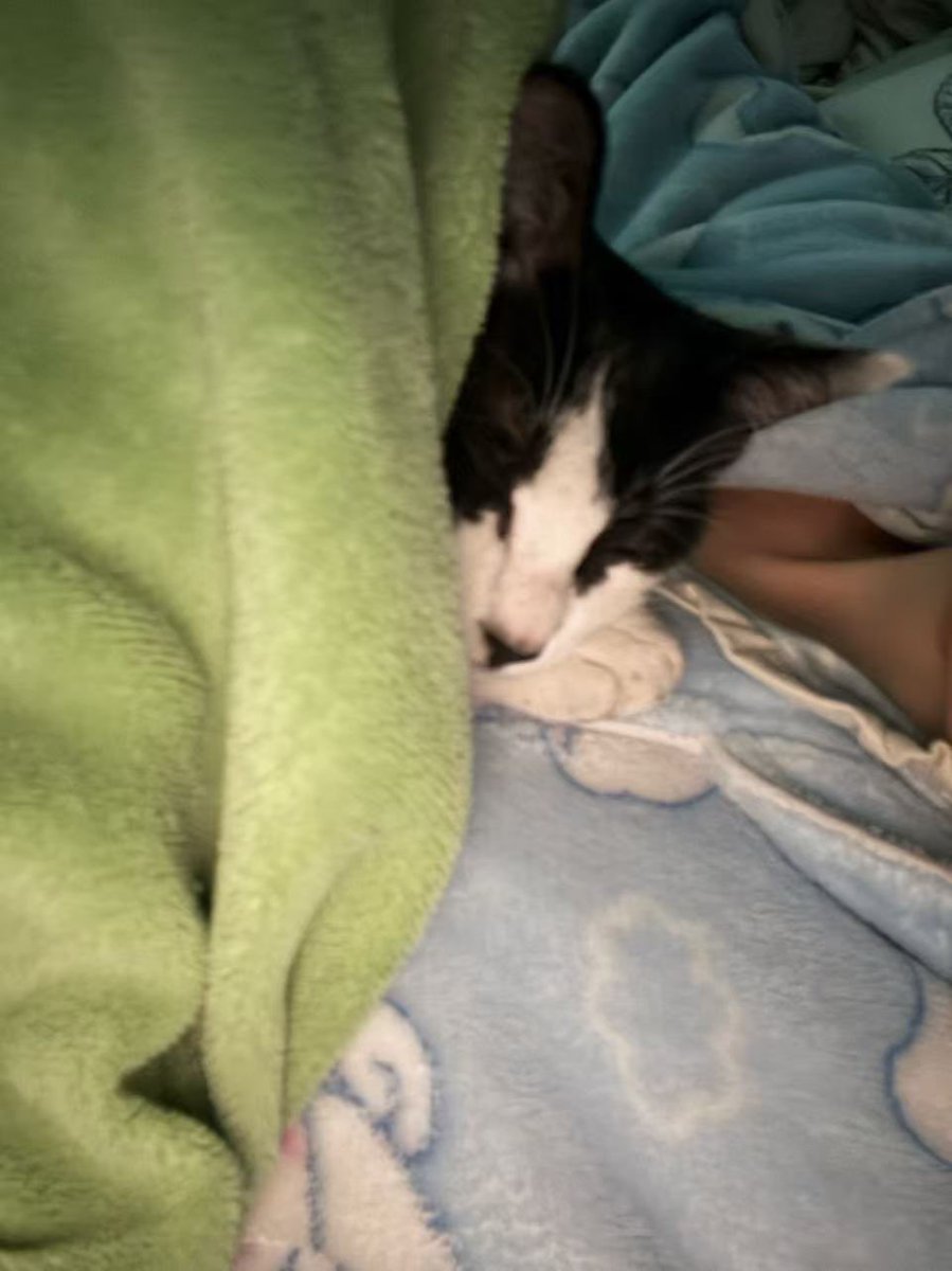 Can you believe it? The moment I refuse to get up, it'll just