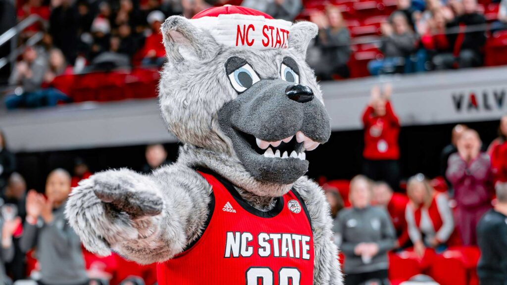 Intersport Basketball tweet media