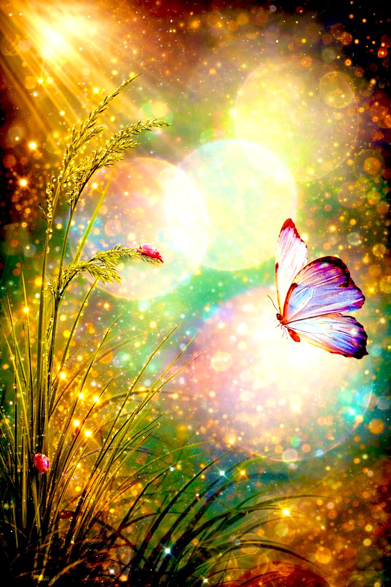 “Si deseas la vida eterna, inhala la fragancia celestial; y si buscas la vida eterna, mora bajo el amparo de la Palabra de Dios.”  #AbdulBahá

#AllWeNeedIsGod
#OurStoryIsOne