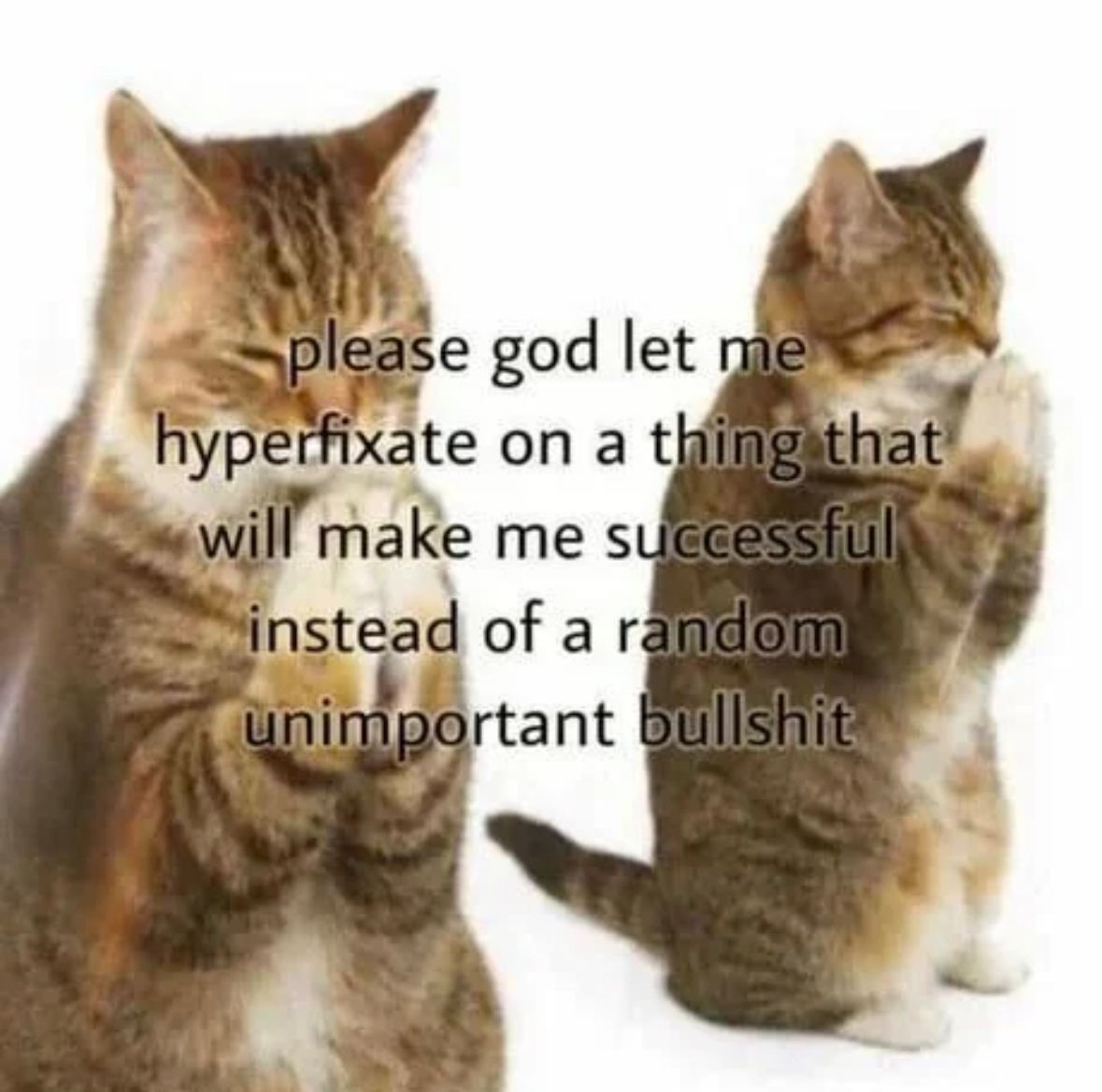 ADHD Memes (@adhdforreal) on Twitter photo 