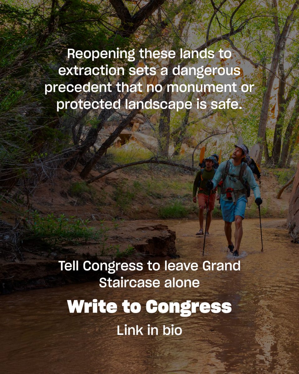 Protect Our Winters tweet media