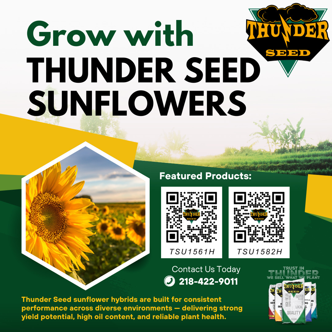 Thunder Seed tweet media