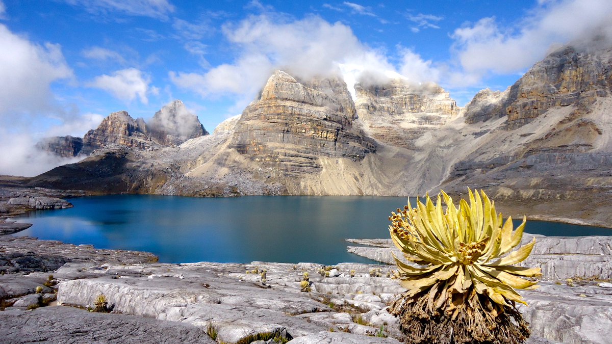 Colombia tweet media