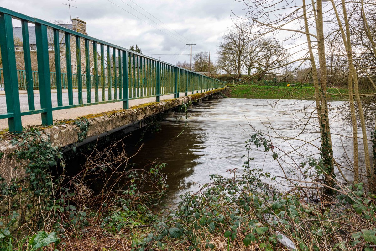 Sean Harkin / Seán Ó hEarcáin tweet media