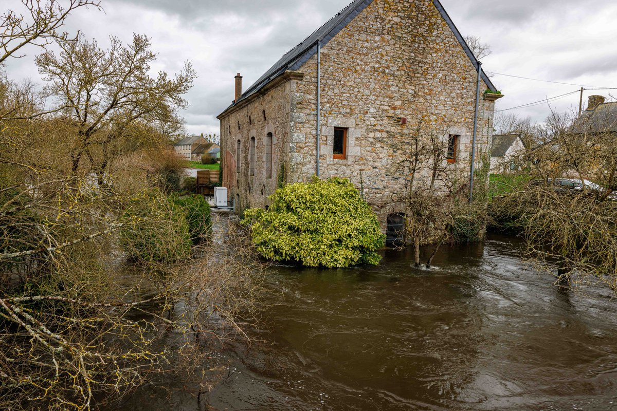 Sean Harkin / Seán Ó hEarcáin tweet media