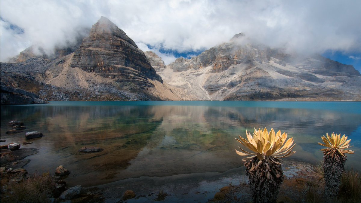 Colombia tweet media