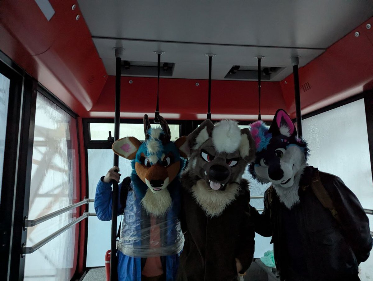 Moonie 🔜FWA tweet media