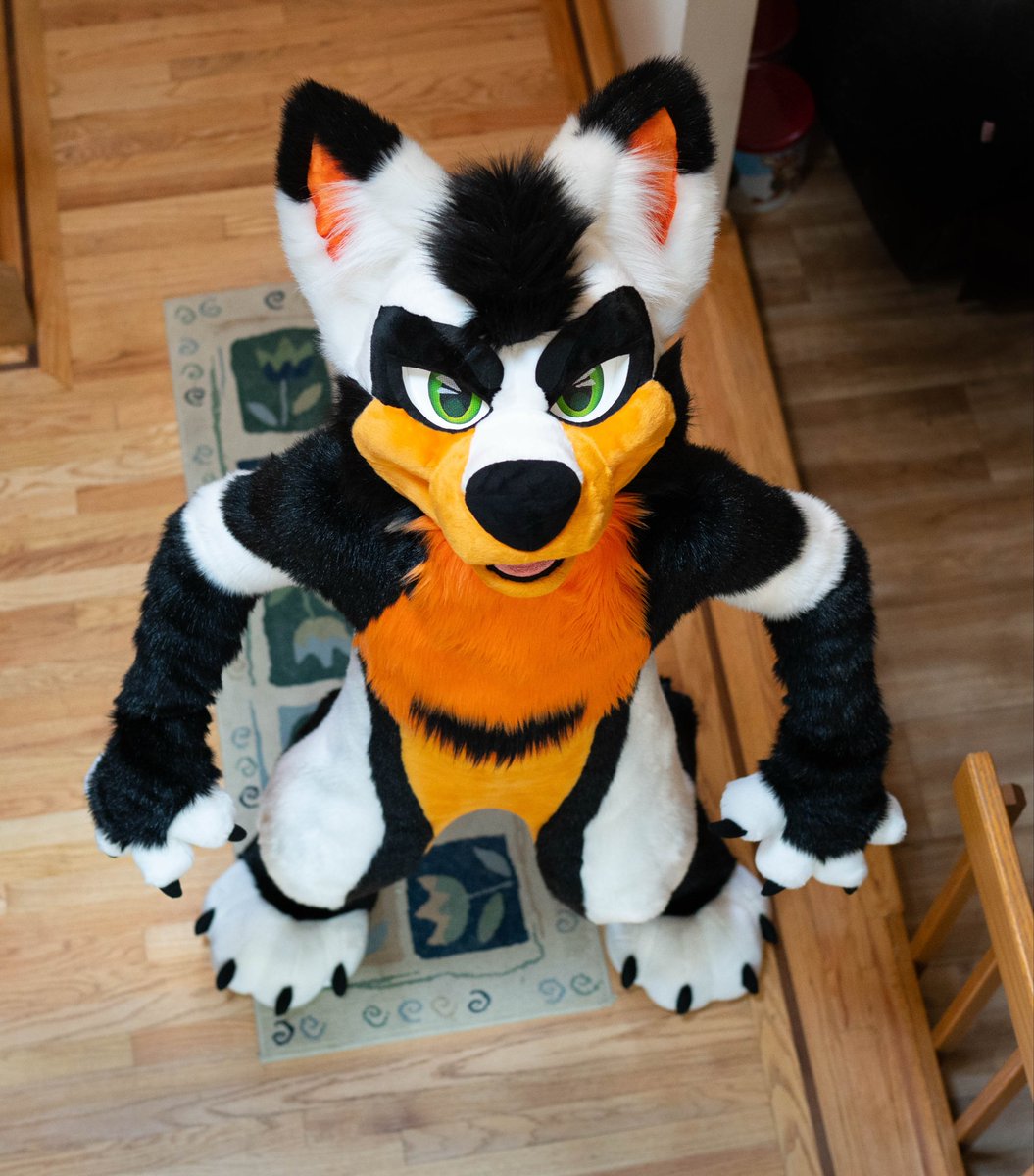 ▫️🔸Zephyr ◾️🔶 🔜FWA tweet media