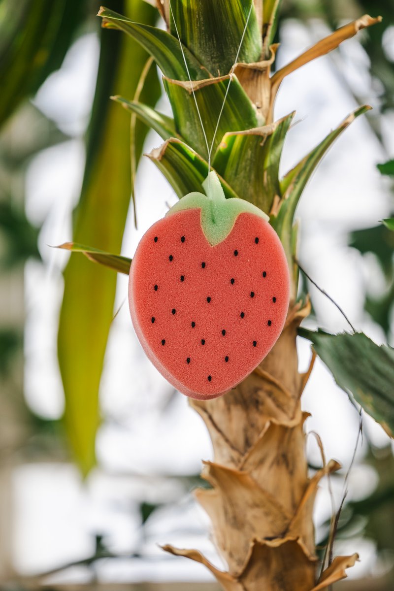 Science North & Dynamic Earth tweet media