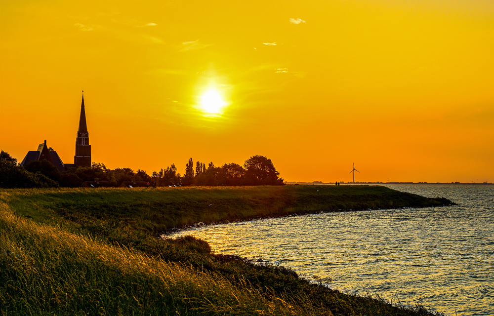 Beth Frates MD tweet media