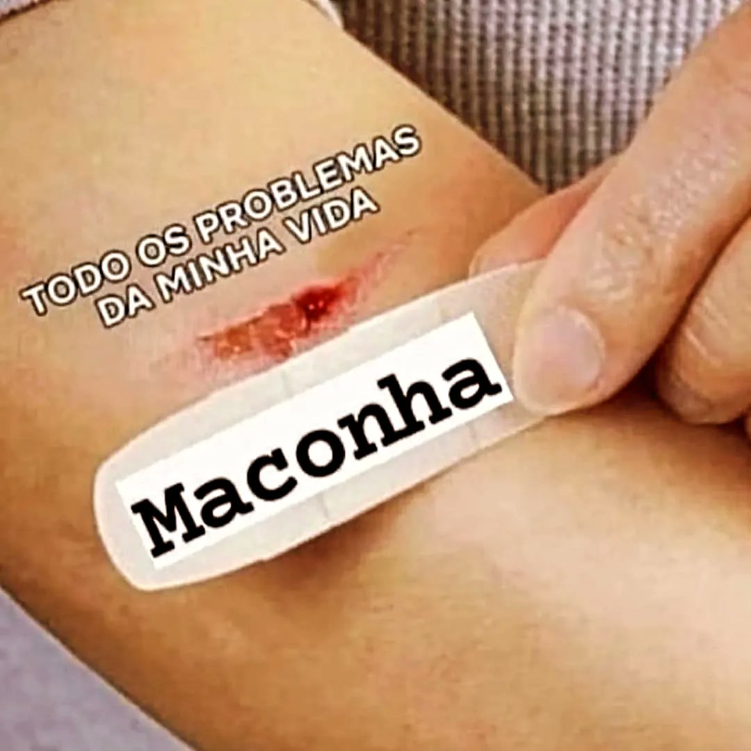 <a href="/palmeirensse94/">Palmeirense 🐷💚🤍</a> <a href="/Tumultobracervo/">TumultoBRacervo</a> É só legalizar a maconha e teremos um mundo livre de sofrimento, afinal, maconha alivia muitas dores, principalmente às do fardo do trabalho e da exaustão em busca de alimento, bens e serviços passageiros.