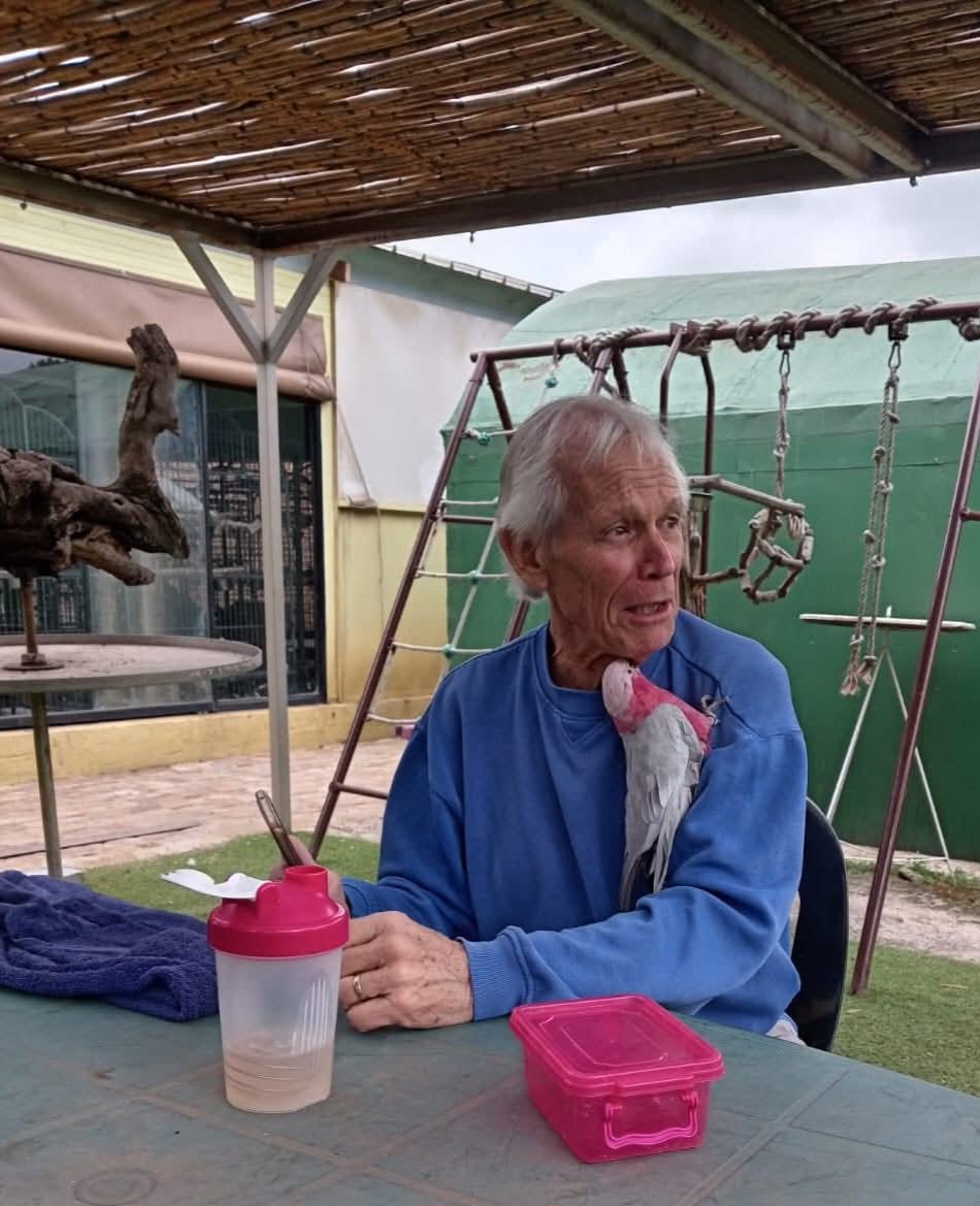 Brainy Birds SA tweet media