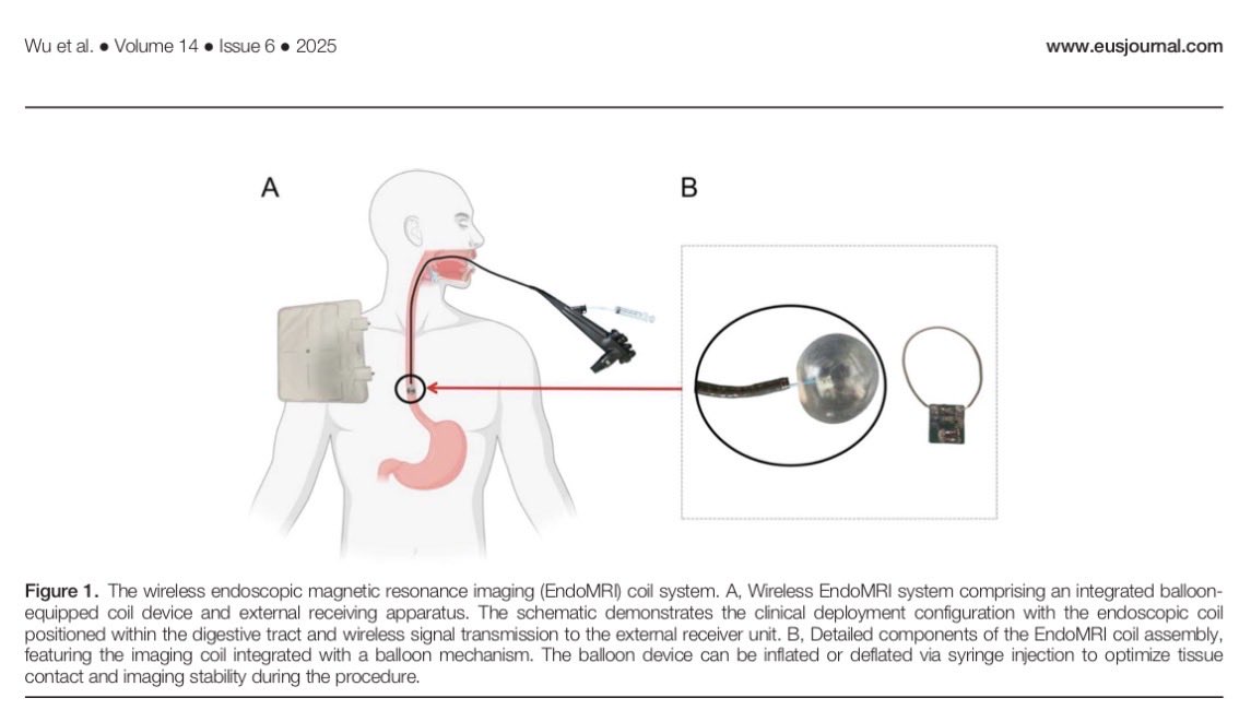EUS & ERCP Master tweet media