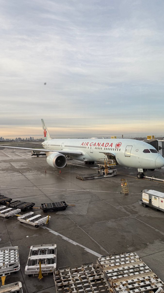 Camille Clarke tweet media