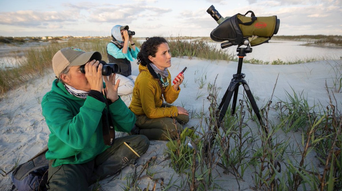 University of Massachusetts tweet media