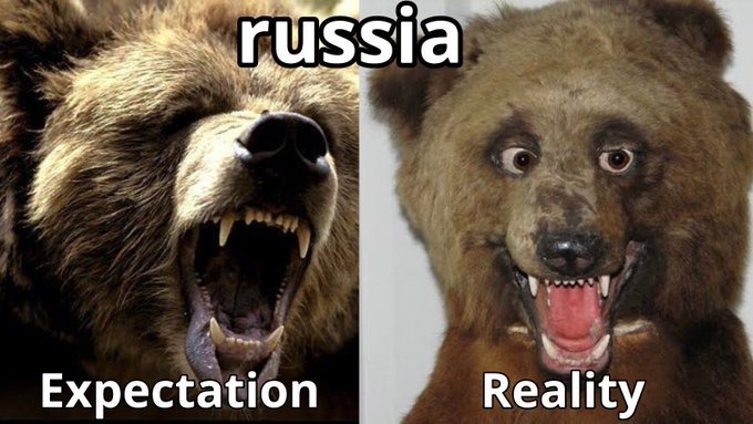 Wombat_Fella (@carmelh14822276) on Twitter photo 