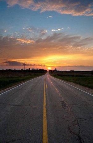 Gabi Yankelevich, DO tweet media