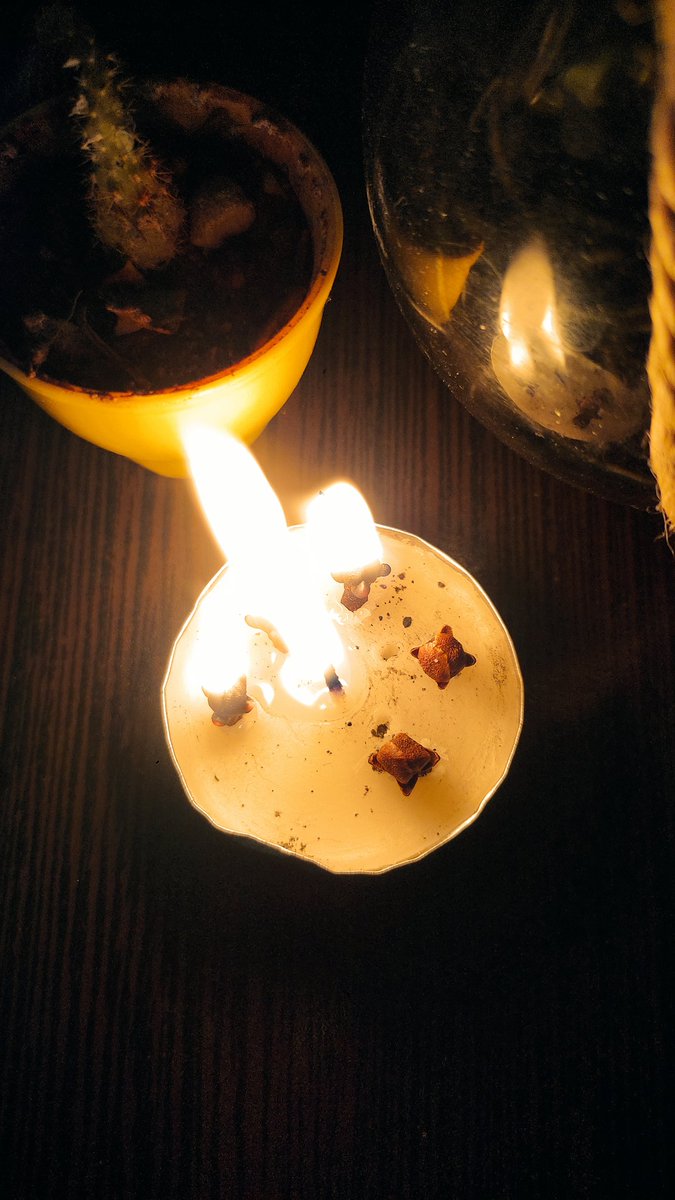 <a href="/kikoenergic/">nour 💗| energy reading🔮</a> شمع با میخک برای شما گذاشتم