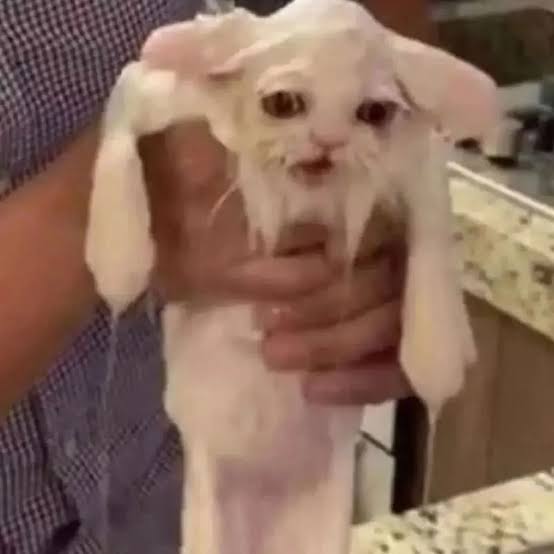 NightOverlay tweet media