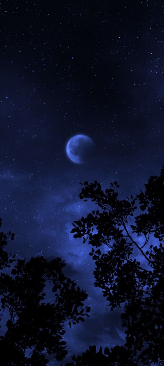 Randomii_X's tweet photo. 🔵 https://t.co/YoUQDp5aqC