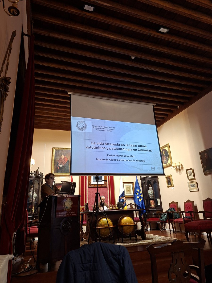 Penélope tweet media