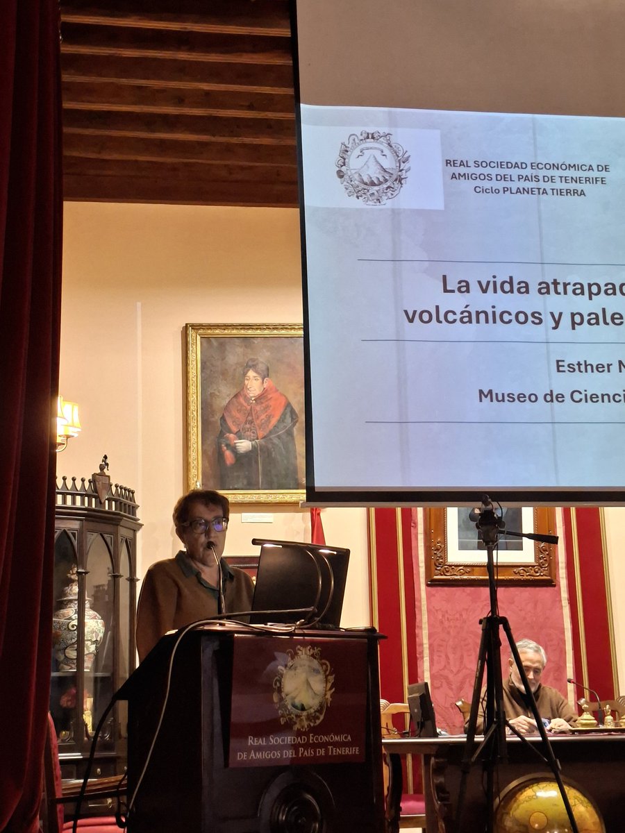 Penélope tweet media