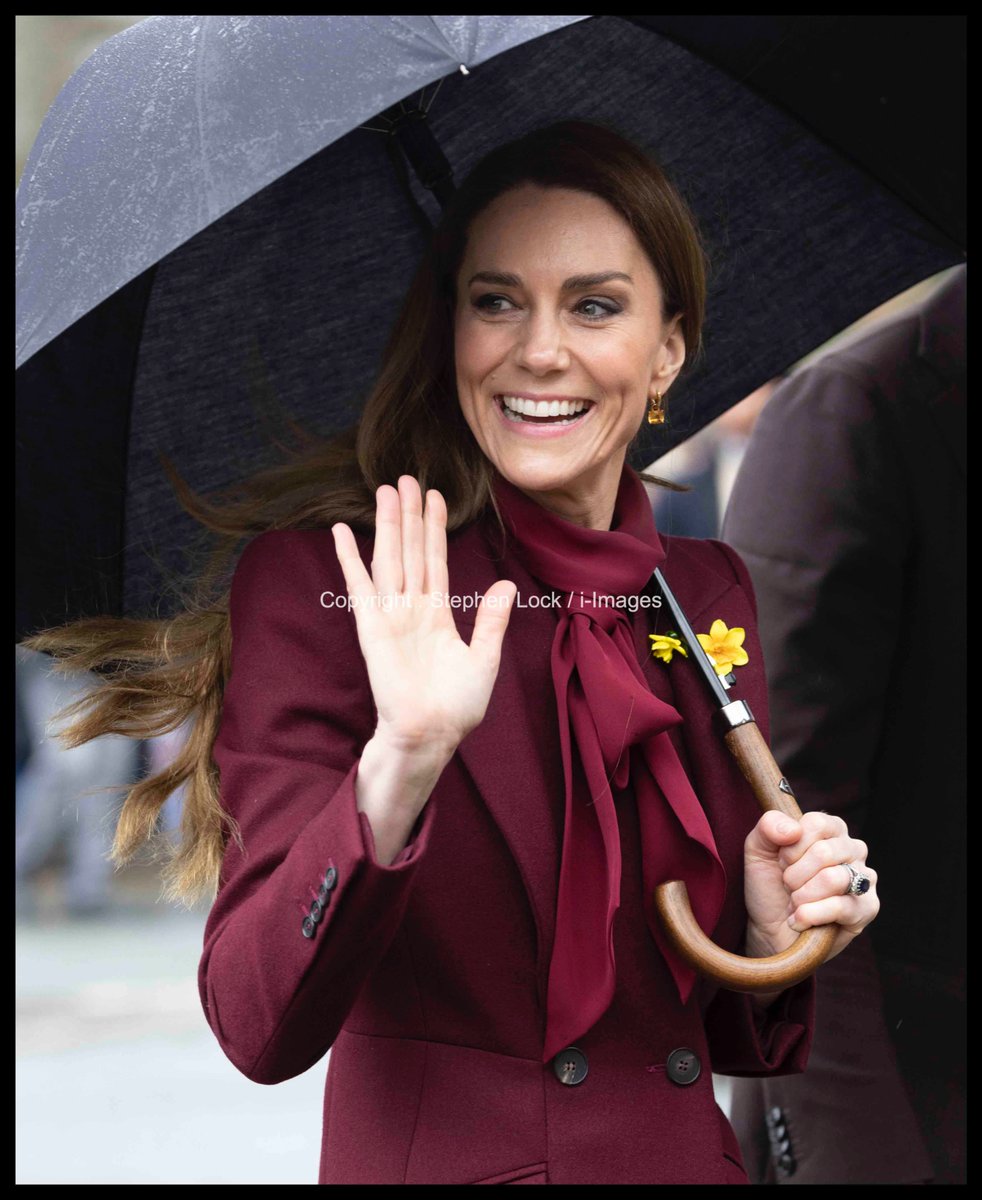 i-Images Picture Agency tweet media