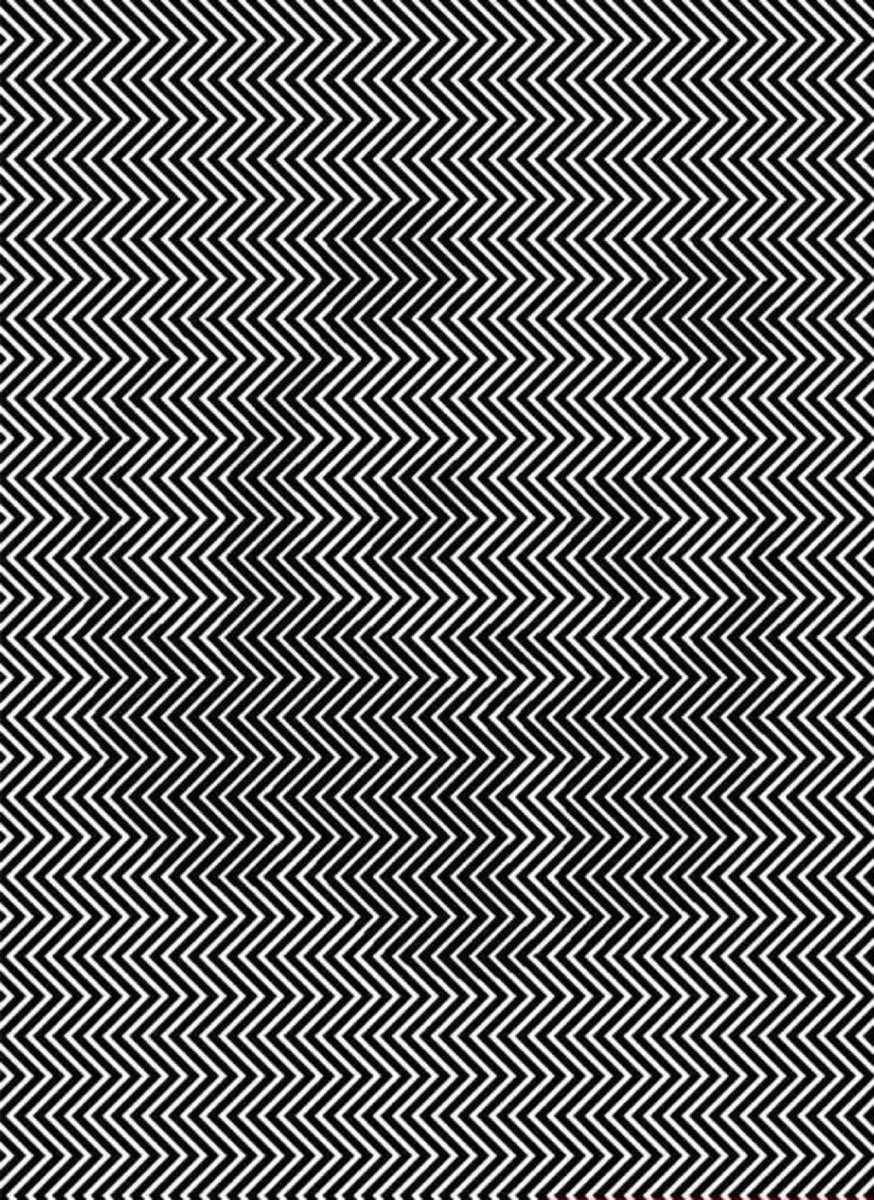 Cairo_xprsk's tweet photo. The most difficult eye 👀 test on the Internet 

What animal do you see?

Correct answer deserves $350,000 https://t.co/OkloYqDc7b