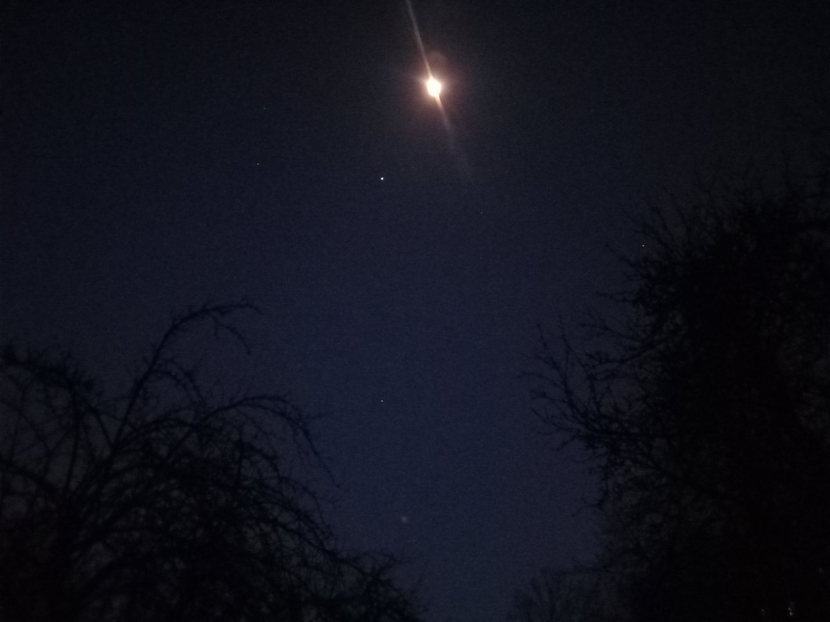 SimonSchfe45703's tweet image. Truecelevening