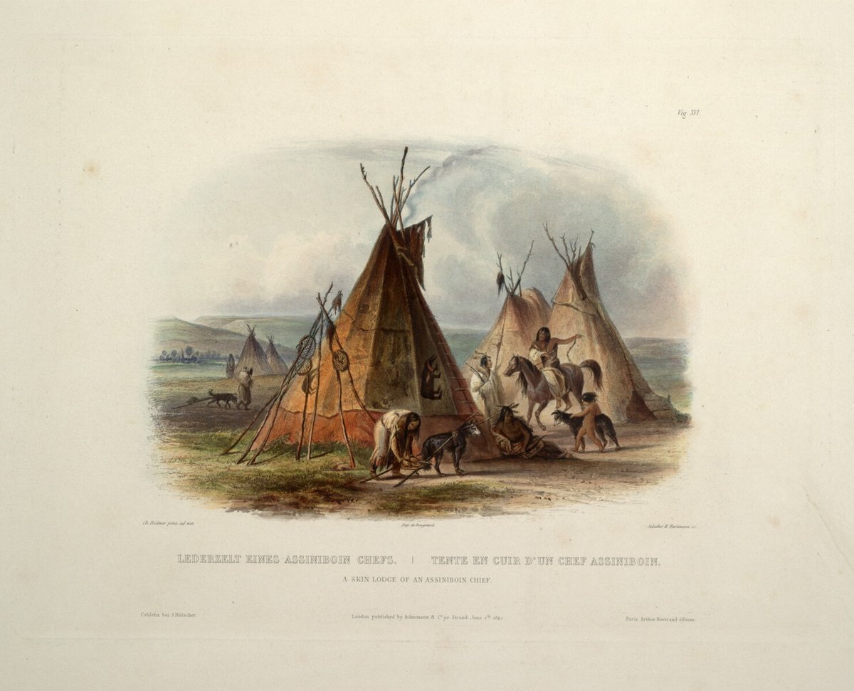 Karl Bodmer tweet media