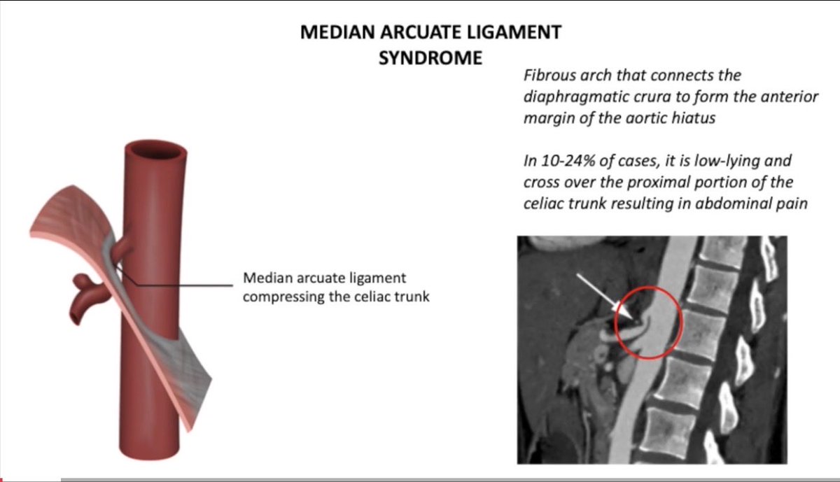 HPB unit Hospital del Mar tweet media