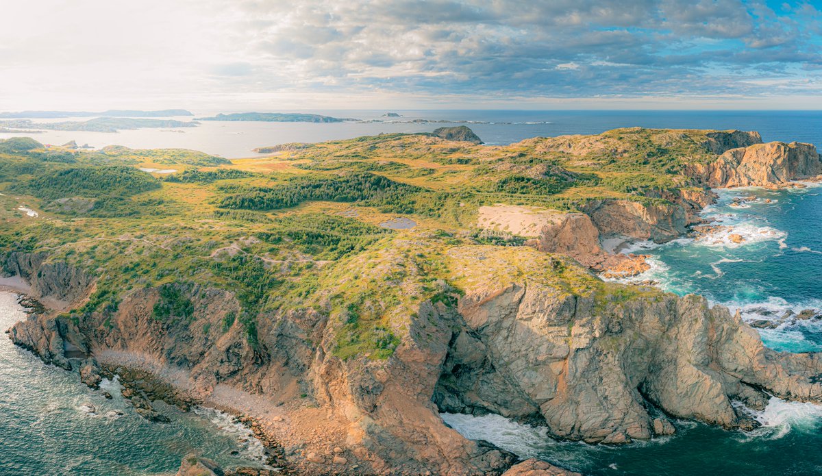 Nate Valeriote tweet media