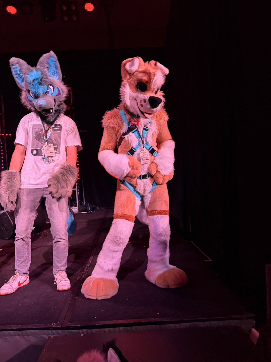 ✨Speakeasy✨🔜LVFC tweet media