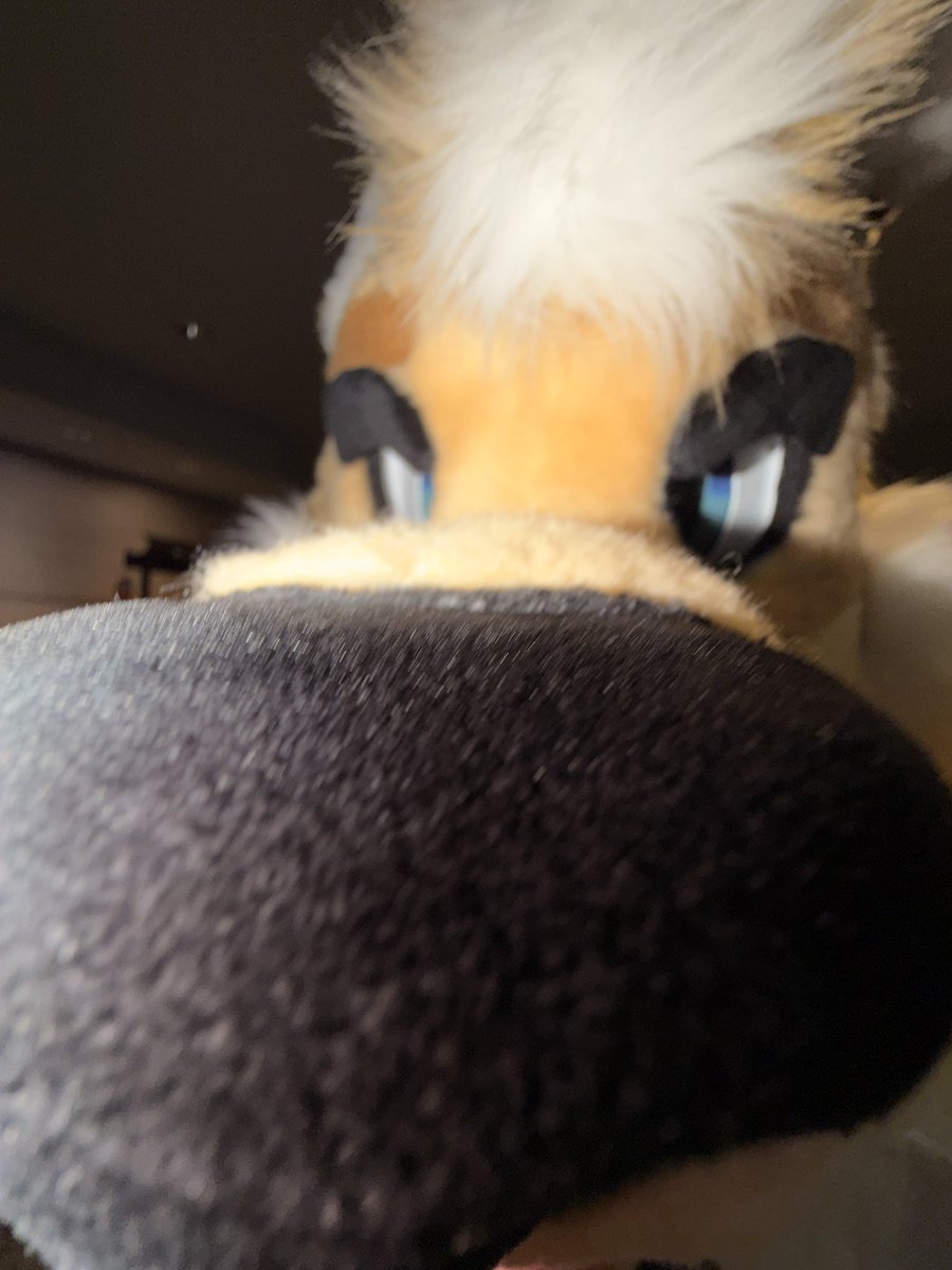 ✨Speakeasy✨🔜LVFC tweet media