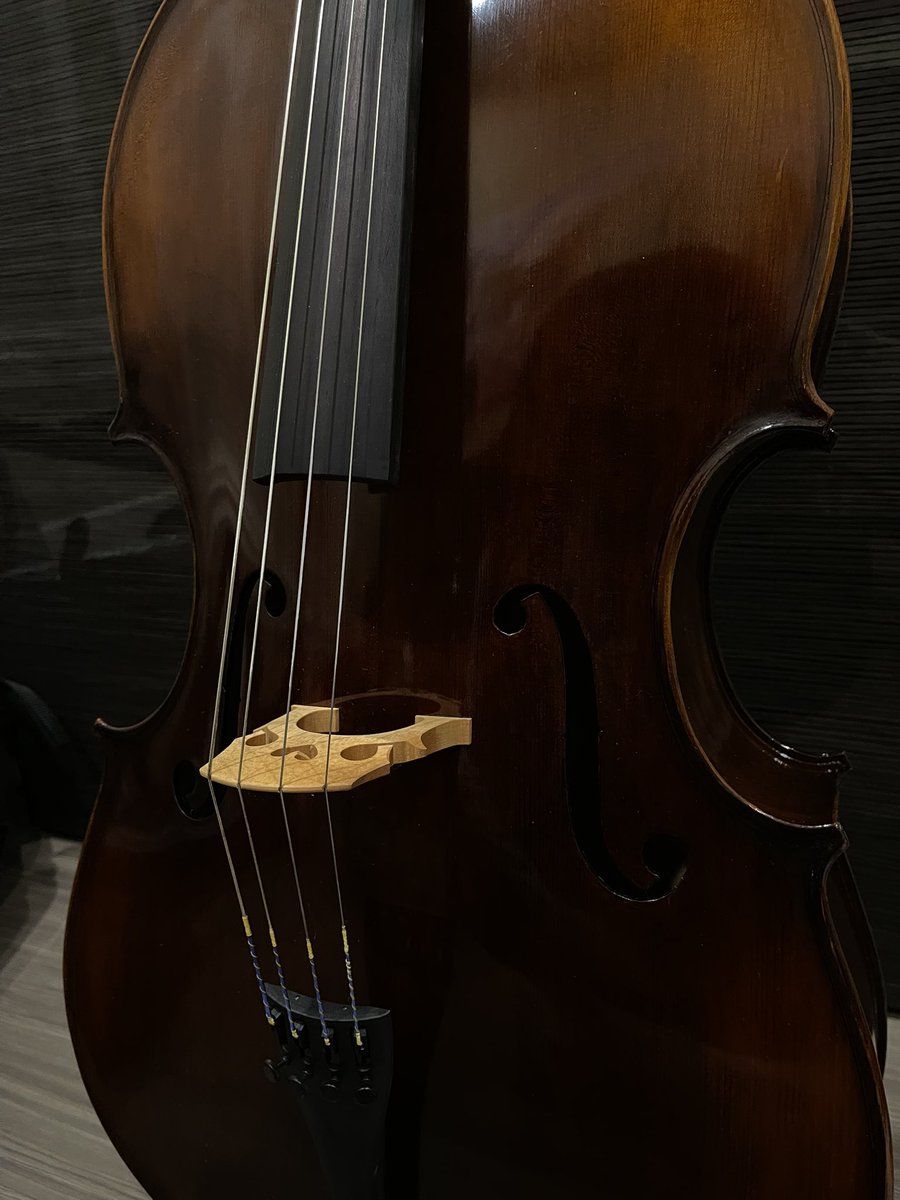 cyn ☾. ੈ✩ 然 tweet media