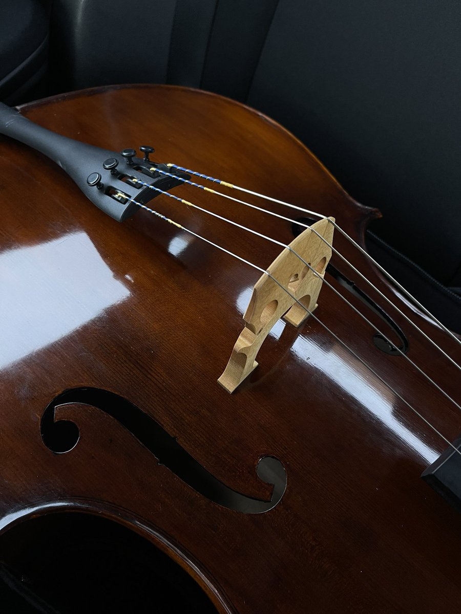 cyn ☾. ੈ✩ 然 tweet media