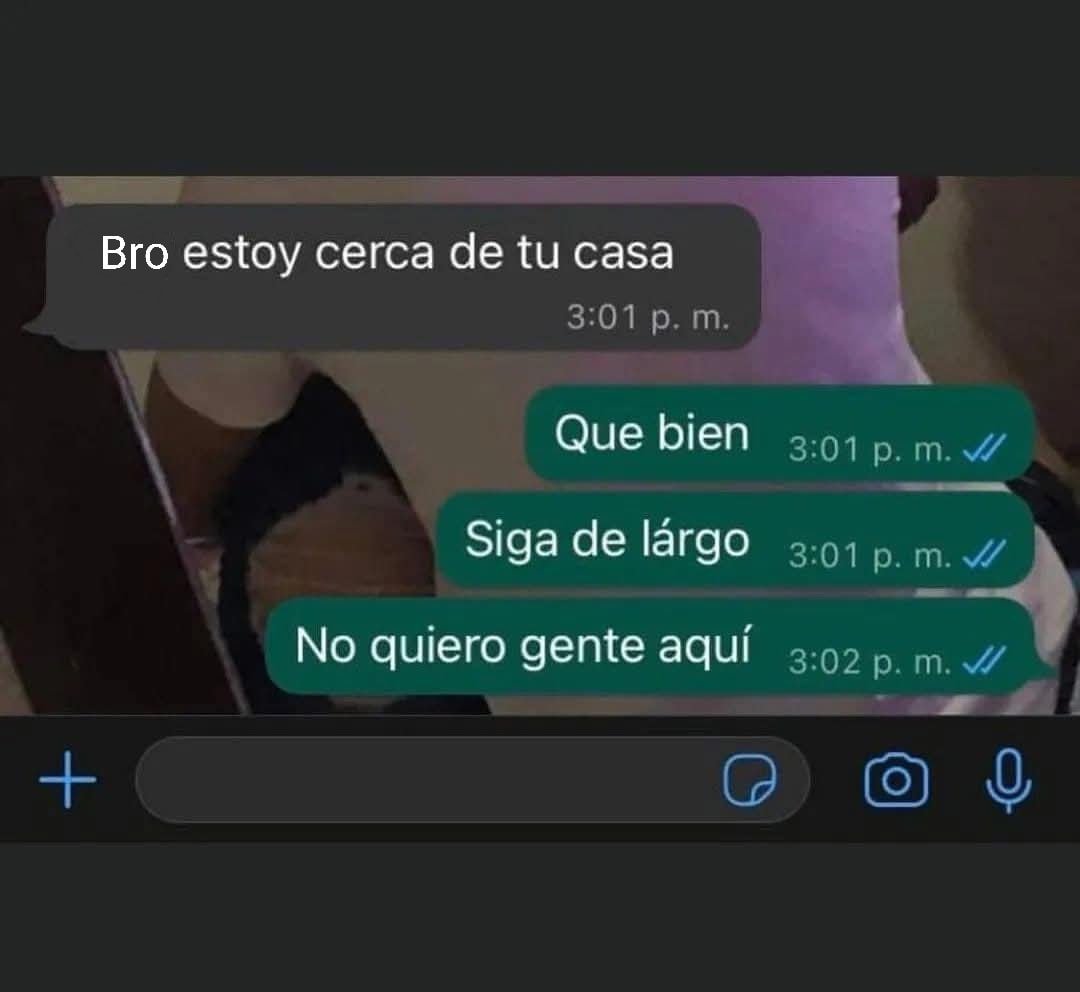Bandidosfrasess tweet picture