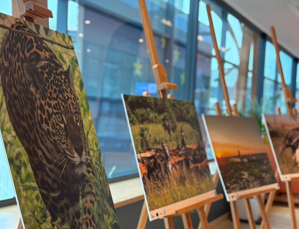 Argentina Forestal tweet media