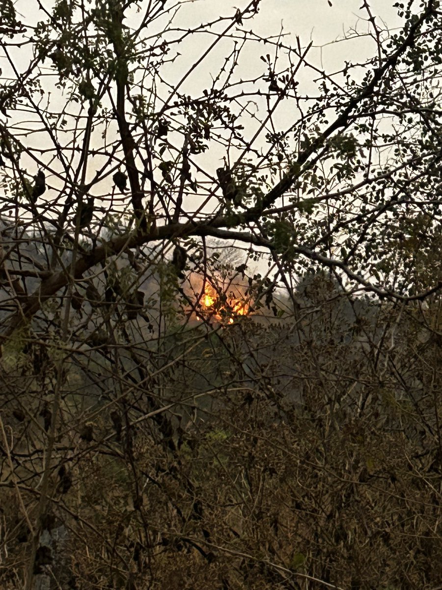 Shabnam Hashmi tweet media